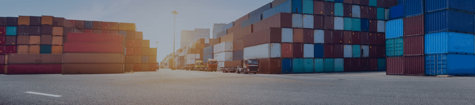 topo Aduaneiro@2x.png