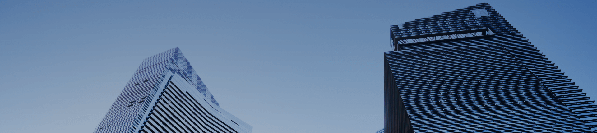 topo licitante@2x.png